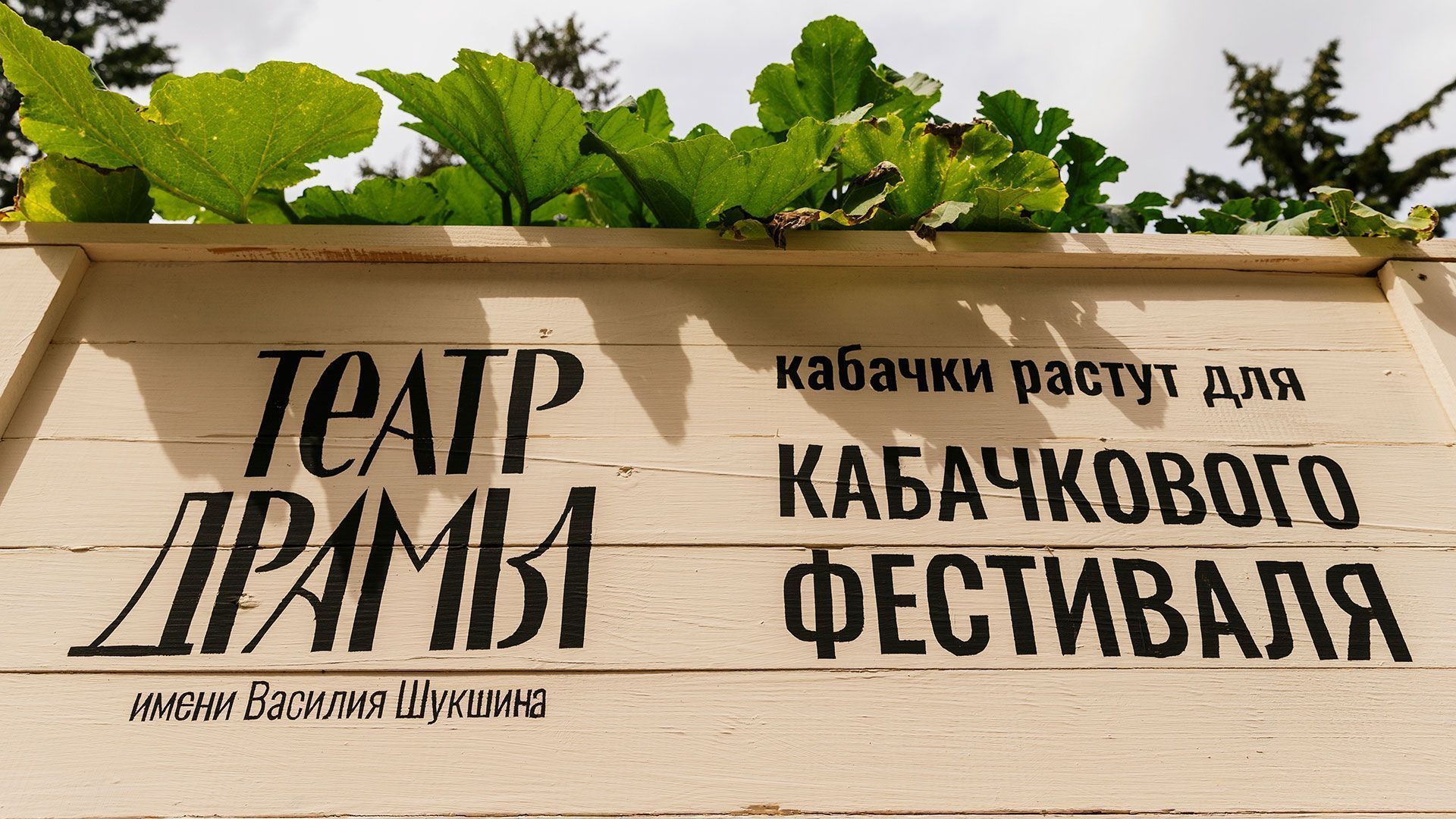 Новые лица, большие гастроли и премьера, которую ждали 5 лет: в Алтайской драме началась подготовка к юбилейному сезону